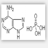 Adenine phosphate Adenine phosphate