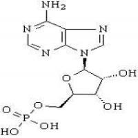 Adenosine 5'-monophosphate Adenosine 5'-monophosphate