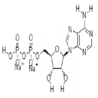 Adenosine-5'-diphosphate Adenosine-5'-diphosphate