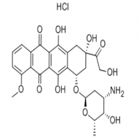 Adriamycin Adriamycin