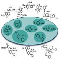 Aldose Reductase