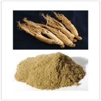 American Ginseng Powder American Ginseng Powder
