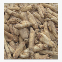 American ginseng root extract
