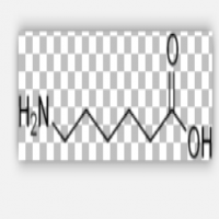 Aminocaproic Acid Aminocaproic Acid