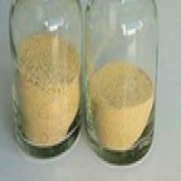Amyloglucosidase Amyloglucosidase