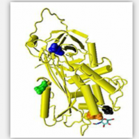 Antithrombin Antithrombin