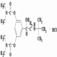 Bambuterol Hydrochloride Bambuterol Hydrochloride