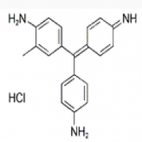 Basic Fuchsine Basic Fuchsine