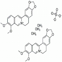 Berberine Sulfate Trihydrate