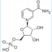 Beta-nicotinamide mononucleotide Beta-nicotinamide mononucleotide