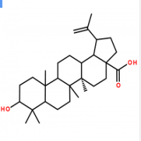 Betulinic acid Betulinic acid