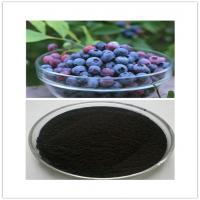 Bilberry Extract Bilberry Extract
