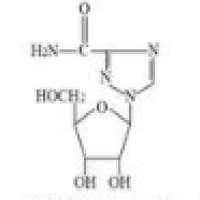 Biopolymers Biopolymers