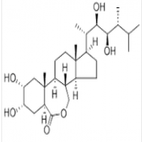 Brassinolide Brassinolide