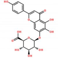Breviscapine Breviscapine