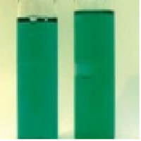 Brilliant green Brilliant green