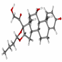 Budesonide Budesonide