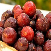 Camu Camu Extract