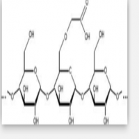 Carboxymethyl Starch Carboxymethyl Starch