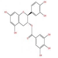 Catechin gallate Catechin gallate