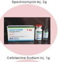 Cefminox Sodium for Injection Cefminox Sodium for Injection
