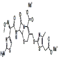 Cefodizime Sodium(Sterile) Cefodizime Sodium(Sterile)