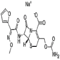 Cefuroxime Sodium(Sterile) Cefuroxime Sodium(Sterile)