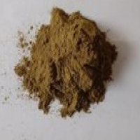 Celery seed powder Celery seed powder