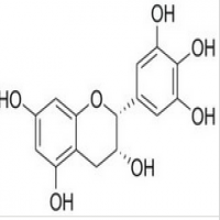 Cianidanol Cianidanol