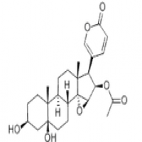 Cinobufotalin Cinobufotalin