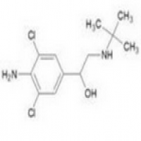 Clenbuterol Clenbuterol
