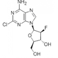 Clofarabine Clofarabine