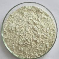 Cloxacillin Benzathine