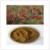 Coccinia indica extract, leaf