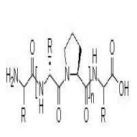 Collagen Collagen