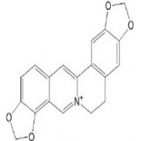 Coptisine Coptisine