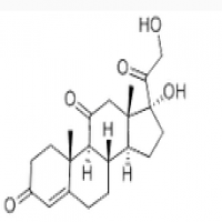 Cortisone Cortisone