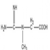 Creatine Anhydrous Creatine Anhydrous