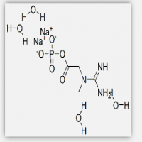 Creatine Phosphate Sodium Salt Creatine Phosphate Sodium Salt
