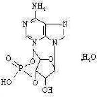 Cyclic Adenosine Monophosphate Cyclic Adenosine Monophosphate