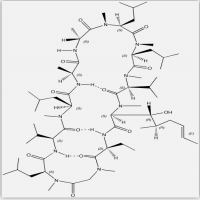 Cyclosporin A Cyclosporin A