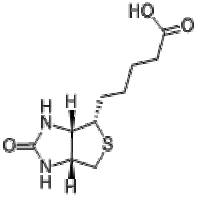 D-Biotin D-Biotin