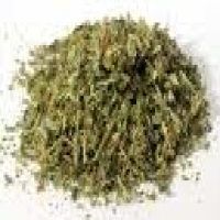 Damiana leaves extract