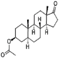 Dehydroepiandrosterone Dehydroepiandrosterone