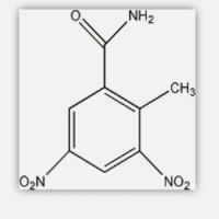 Dinitolmidum Dinitolmidum