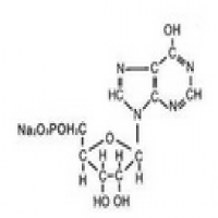 Disodium 5’-ribonucleotide Disodium 5’-ribonucleotide
