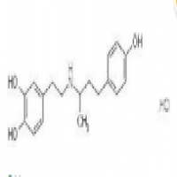 Dobutamine Hydrochloride Dobutamine Hydrochloride