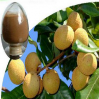 Dried Longan Pulp Extract