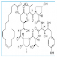 Echinocandin B Echinocandin B