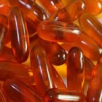 Egg Yolk Lecithin Egg Yolk Lecithin